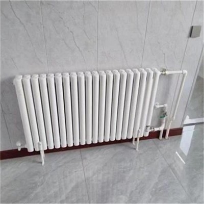 钢二柱散热器可定制集中采暖壁挂式