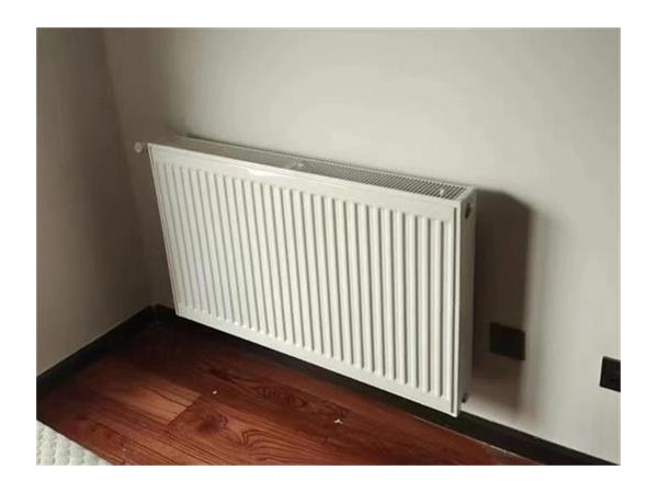 在居室中各个区域根据功能的不同安装的散热器也各不相同