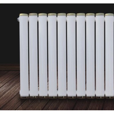 水立方  集中供暖 家用散热器壁挂式暖气片图1