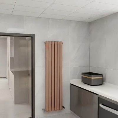 鋼制50X25方散熱器