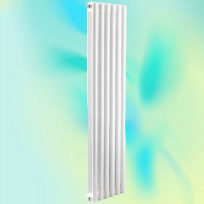 鋼制60X30方圓雙柱散熱器