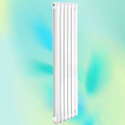鋼制50X25圓雙柱散熱器
