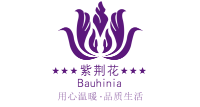 紫荆花散热器