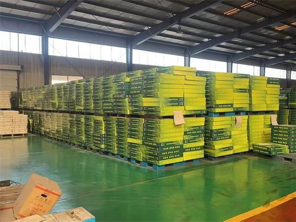 北方采暖散熱器本土品牌梳理 適配家裝自采暖與工程采購