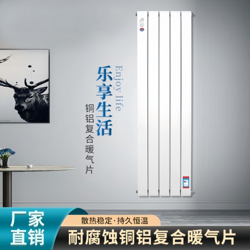 铜铝75*75散热器图2