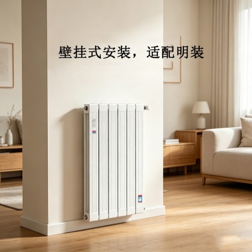 铜铝8575散热器图5
