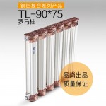 TL-90×75散热器