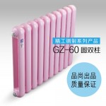 GZ-60圆双柱散热器
