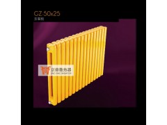 GZ50x25方双柱散热器图1