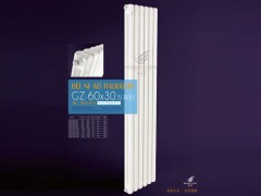 GZ-60×30方双柱散热器