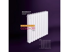 GZ-60x30方双柱散热器