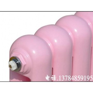 GZY206-6-1.0钢制二柱暖气片 50*25圆片头散热器