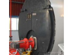蒸汽锅炉厂家  0.5吨7公斤压力 燃油气锅炉图1
