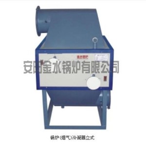 【金水】锅炉（烟气）冷凝器立式型号，电加热蒸汽发生器蒸汽发生器功能