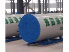 供应豫园锅炉 LSH系列煤气化环保锅炉 广东 山西图1