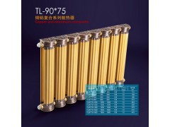 TL-90x75散热器/格兰仕散热器