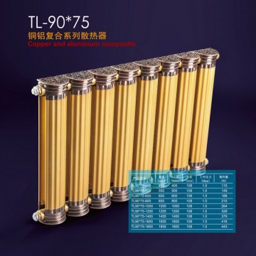 TL-90x75散热器/格兰仕散热器