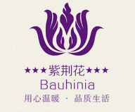 北京紫荆花散热器
