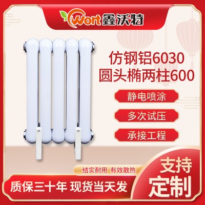 6030圆头两柱铸铁 壁挂式散热器 家用水暖 集中供热 铸铁暖气片图1
