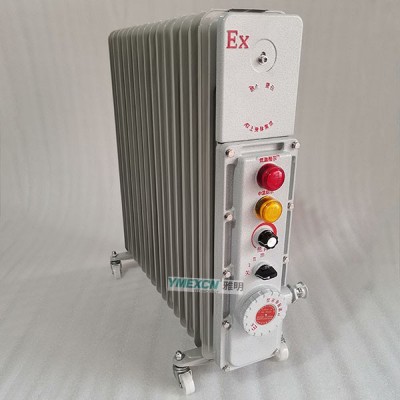 BDR-1500W9YREXDIIBT4防爆电暖器