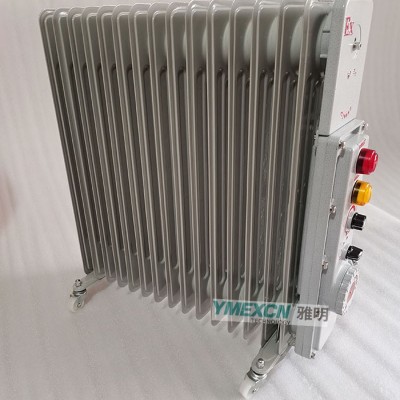 防爆电暖器BDR51-13片3000W2500W11片2KW图1